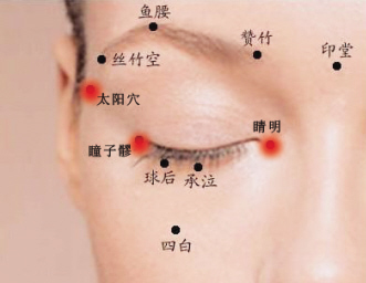 ��ӭ�����ᡱϵ�������������᲻����