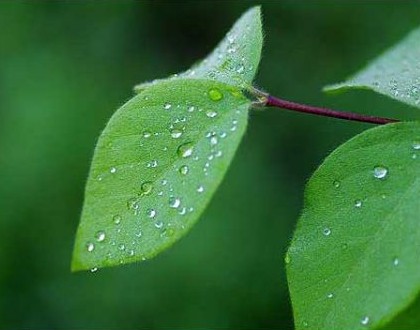 ��¶����4������ ����＾�����������