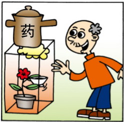 ����ҩС��ʶ