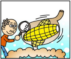 ��򵥵Ľ����Բⷨ