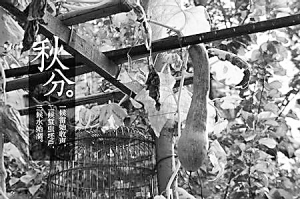 ��������衰��ƽ���ء�