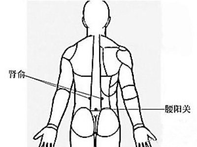 �������ػ�����������