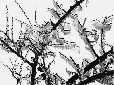 �������������ء�ת����������