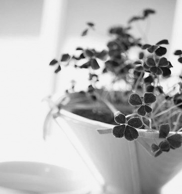 ����������5�־���