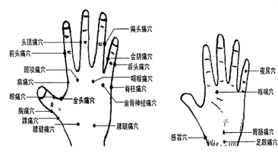 ����Ѩ�������β�