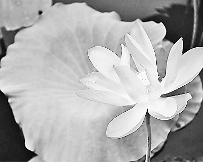 ��������������