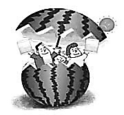 ����ȫ���� ����������