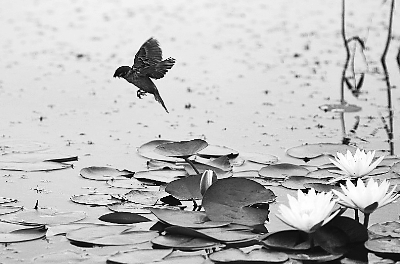 ���ô�����߽���