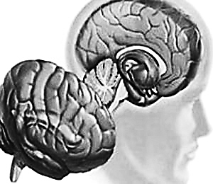 ΢������ ����Դ�������Ϯ