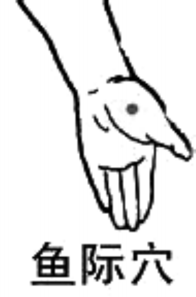 ��Ħȥ�����������