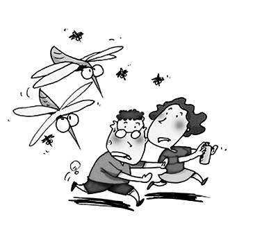 �������� ������������Ч