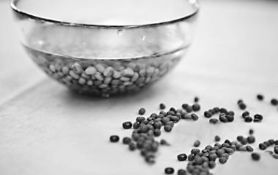 ��ҽר�ҽ��� �����ļ�������