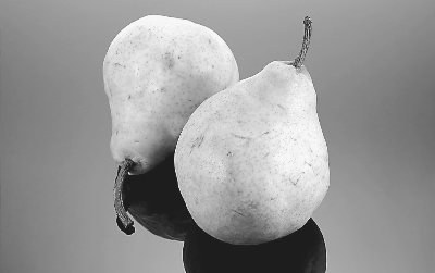 ����ת�� �����＾����ֹ��ס