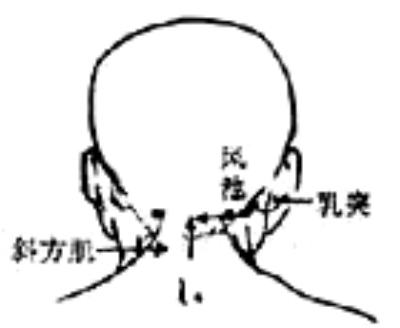 �����Ʒ�����Ӧ֢֮������