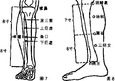 �����Ʒ�����Ӧ֢֮֬���΢�