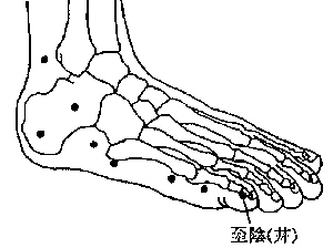 ������ ����ʹ