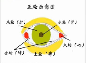 20111022 ��ѧ��-�����Ի�ɳ��ͩ������