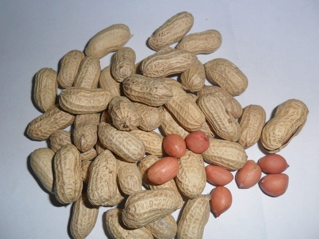 �����ô�����ô�Զ��Ǳ�