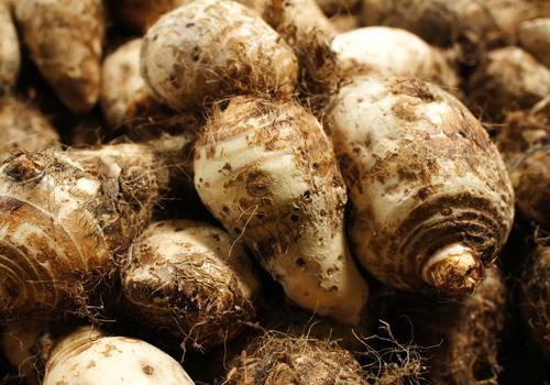 ��������Щʳ�����������⻬