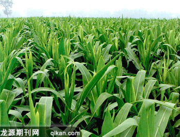 ʵ��������ӹ�ҵ�Ľ�����չ