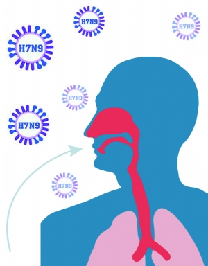 �˸�ȾH7N9��������ҽ֤��ֲ����й��� ��֤����Ӧ��������ӪѪ�����ص�