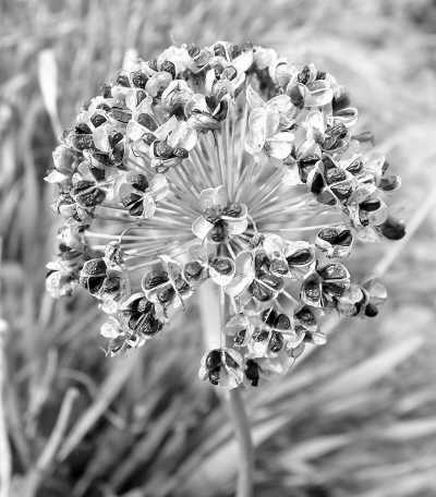 �²��ѻ�����Ƶ