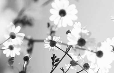 ����������<BR/>����õ�״̬(΢�Բ���)