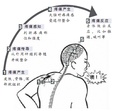 ��ʹ����η�����(ͼ˵����)