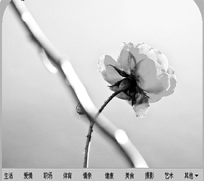 ͣ��ʮ��(΢�Բ���)