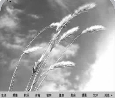 ����ʧ�ܽ�Ϲæ(΢�Բ���)