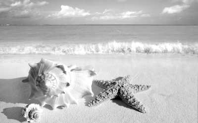 �ľ���һ�л�Ȼ����(΢�Բ���)