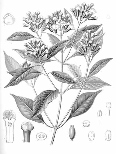 �����ܷ�ֹ����(��֤)