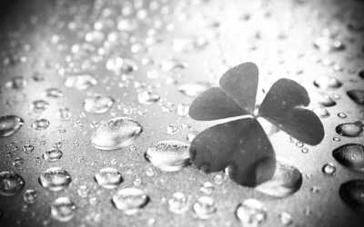 ������������һ˲(΢�Բ���)