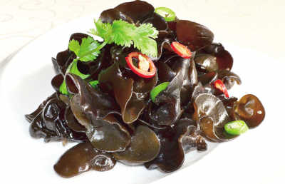 ��ʳ�ܷ������(���Ż���)