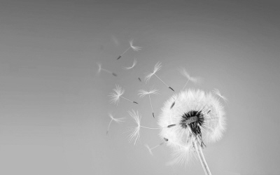 ��Ȼץ��ס���β���һ��(΢�Բ���)