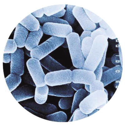 �������� �й���ʮ��