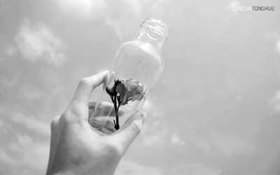 �Ծ�Ϊʦ(΢�Բ���)