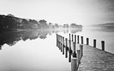 ���������(΢�Բ���)