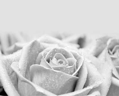 �����İ�(΢�Բ���)