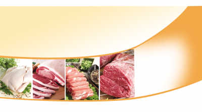 �⣬�Զ���������