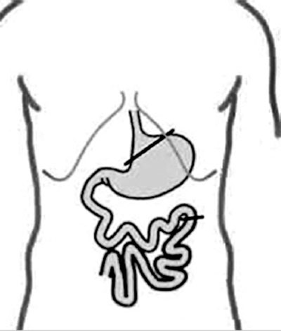 ��������ʮ������