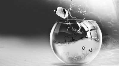 ������Ĺ���(΢�Բ���)