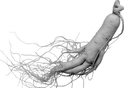 Ӱ�Ӿ������ҽ����(��ҽ��̳)