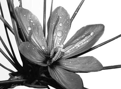 Ӱ�Ӿ������ҽ����(��ҽ��̳)