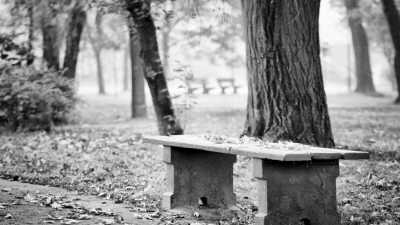 ʲôҲ����(΢�Բ���)