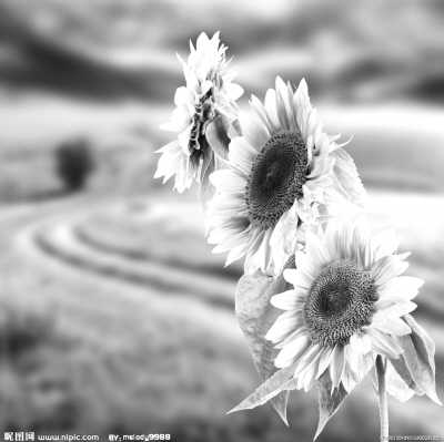 �˵ı���(΢�Բ���)