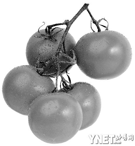 �ļ��ԡ��ࡱӦ�ж�