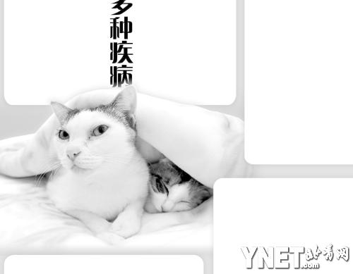 ���ĵ���̺�շ����ּ���