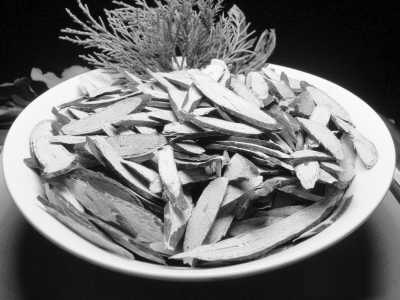 ʧ�ߣ������ٰ�����ԡ