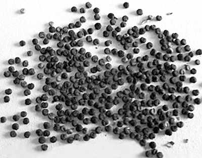 ϥ���ۣ��׻����Ӽ�ˮ